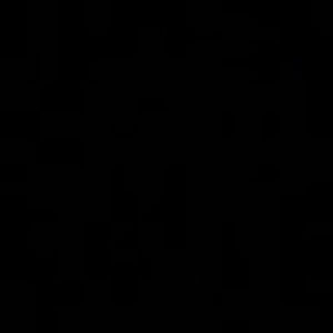 Meet your Posher, Trace